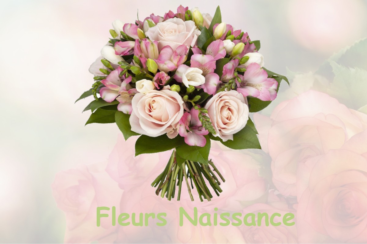 fleurs naissance AUTRY-LE-CHATEL