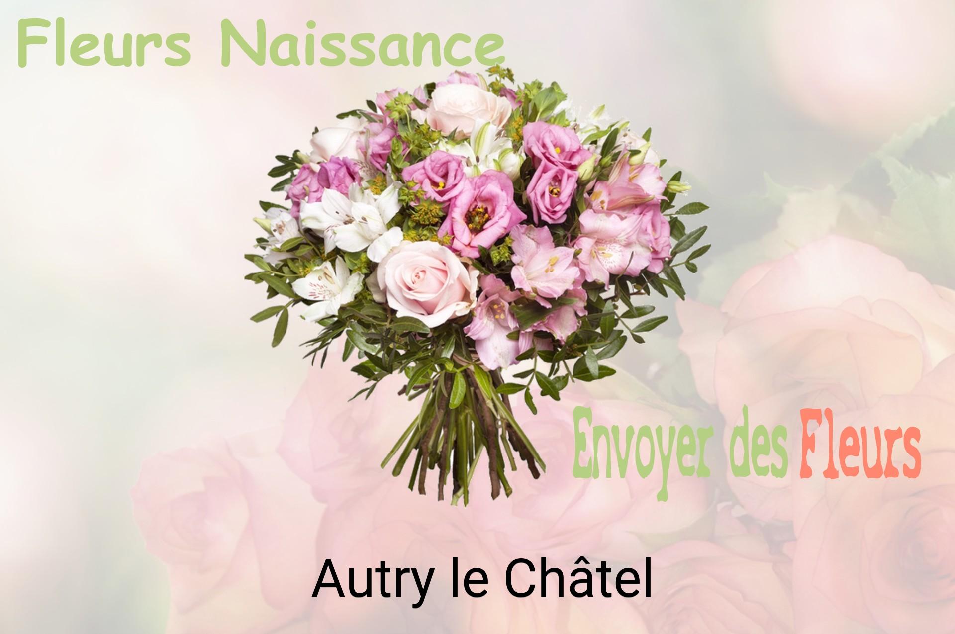 Bouquet de fleurs de naissance livré à Autry-le-Châtel